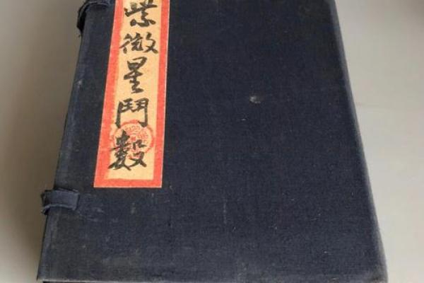 紫云紫薇斗数视频