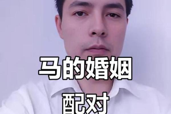 属马女性配对大揭秘:羊男VS狗男,成功婚姻密码在哪? 属马女性配对大揭秘:羊男VS狗男,成功婚姻密码在哪?