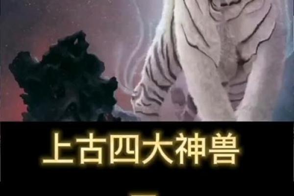 白虎方位置,白虎位是哪个方位? 白虎方位置,白虎位是哪个方位?