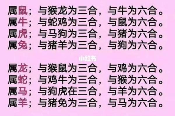 算命生肖婚配蛇配虎，蛇虎配对姻缘？