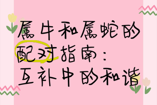 男生肖蛇配对，这几点你需要知道！