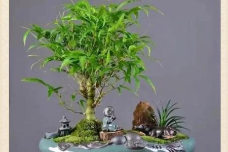 竹竿的风水