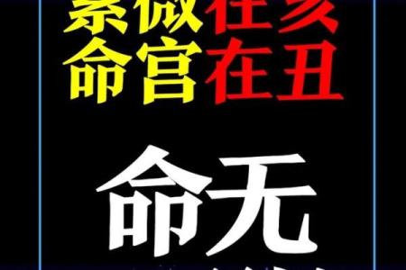紫微排盘,紫微斗数怎么看自己的才华