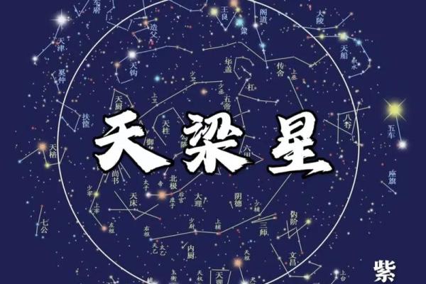 紫薇斗数36颗星代表什么 紫薇斗数36颗星代表什么