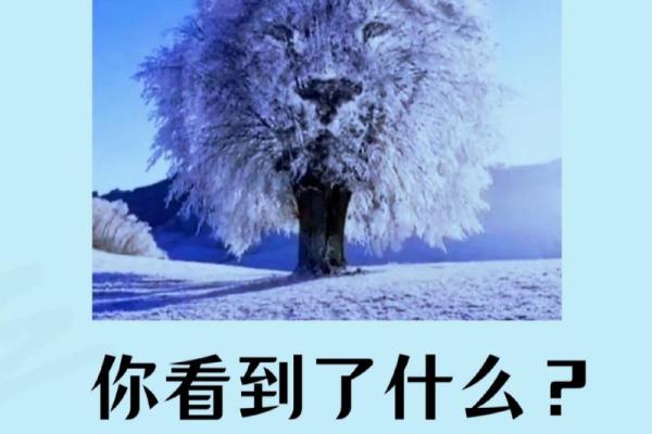 测试自己最近运气  测试你最近运气好吗