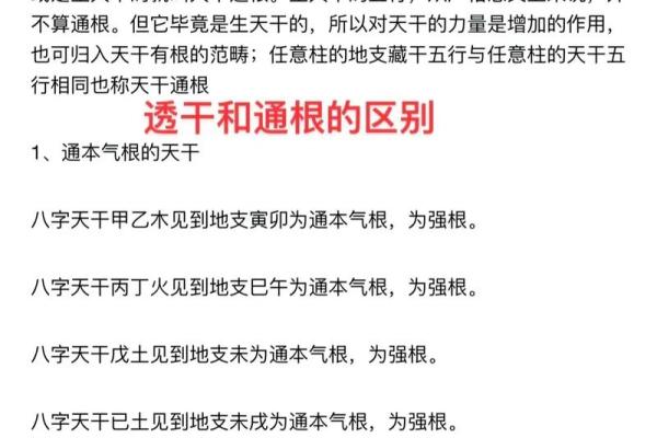 「八字年柱有根」为你解读,合辟新坑或自我提升? 「八字年柱有根」为你解读,合辟新坑或自我提升?