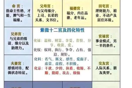 双星紫薇斗数