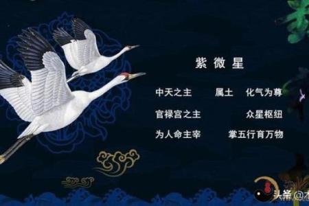 abc科技紫薇斗数