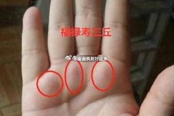 算命中指的官是什么 算命中指的官是什么