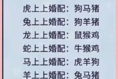 生肖配对 十二生肖最佳配对表格