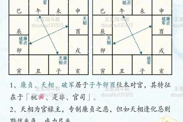 如何正确的学习和入门紫微斗数 如何正确的学习和入门紫微斗数