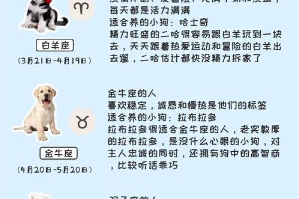 星座小知识：大犬座在什么季节出现