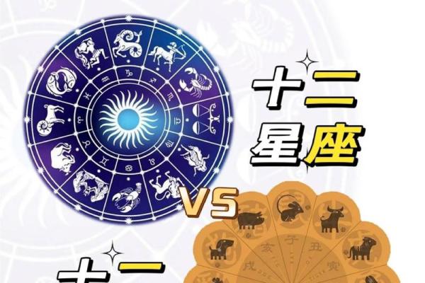 十二星座哪些生肖女最美丽