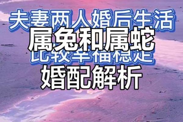 属兔的婚姻配对最佳