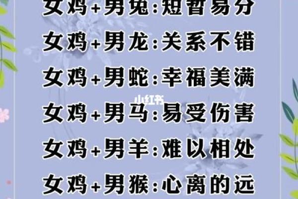 12生肖婚配属相配对查询，生肖配对查询表