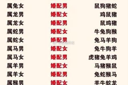 姓名配对姻缘911