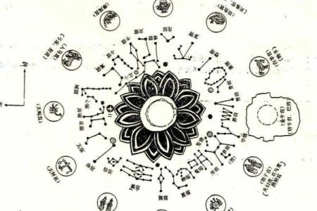 紫薇斗数全集九星