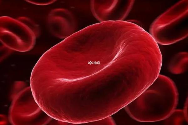 闪婚导致离婚的血型 闪婚导致离婚的血型