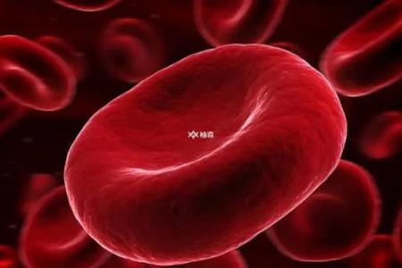 闪婚导致离婚的血型