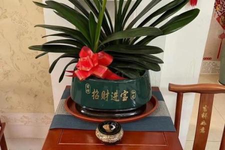 风水气场调理,提升现世的福泽