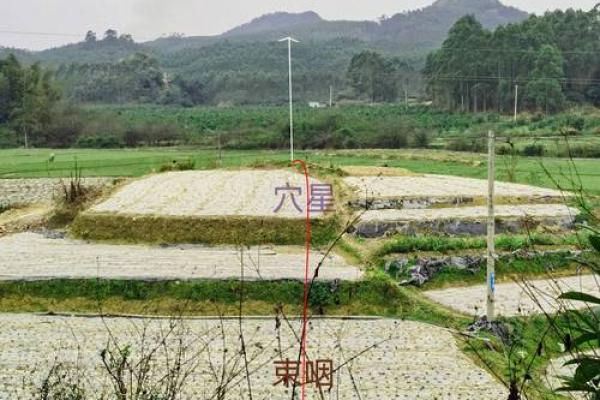 风水：调理好风水能预防疾病，不信你看看这几条实例！_1