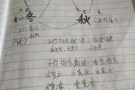 怎样学八字算命