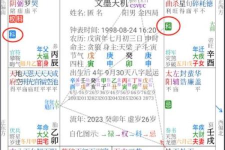 紫微斗数十四主星：七杀星概论