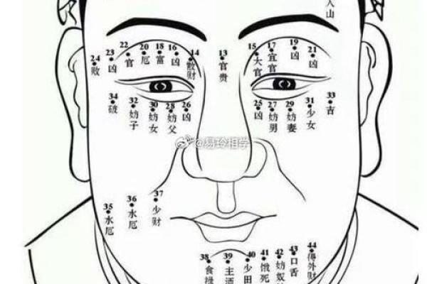 脸的各部位胎记算命详解
