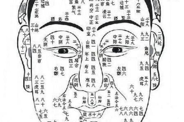 如何从嘴巴看相算命