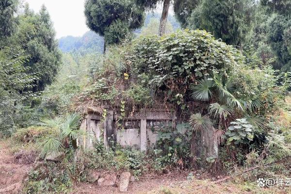 坟墓出现异象?说明坟墓风水好 坟墓出现异象?说明坟墓风水好