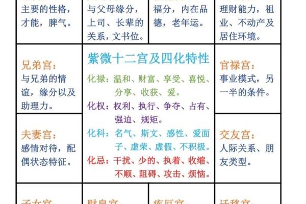 紫薇斗数干的气化