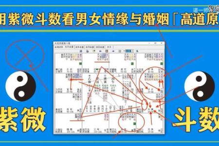 紫薇斗数看什么样的男女会结婚