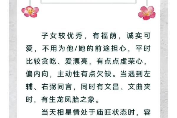 善良的紫薇斗数