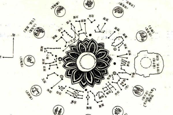 紫薇斗数限羊 紫薇斗数限羊