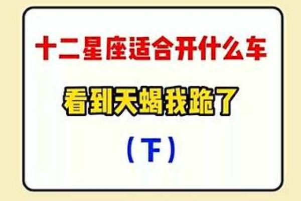 十二星座长大适合开什么车子