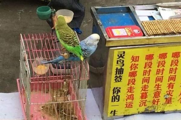 关帝灵鸟叼签 关帝灵鸟叼签