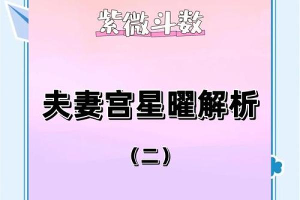 紫微斗数诸星落诸宫之:天府星夫妻宫详解 紫微斗数诸星落诸宫之:天府星夫妻宫详解