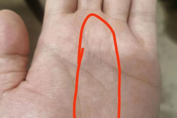 免费算命,神仙下凡 手上带灵气的人的特性 免费算命,神仙下凡 手上带灵气的人的特性