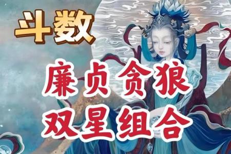 紫薇斗数主星性质：廉贞，天府，贪狼，巨门