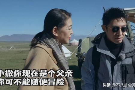 白岩松八字,撒贝宁八字