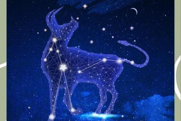 金牛座最适合什么星座的对象男