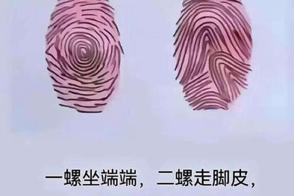 全国5大有趣的指纹算命口诀 全国5大有趣的指纹算命口诀