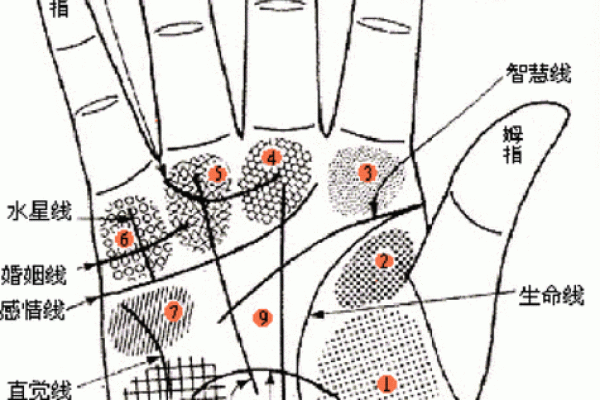 凯帝阿手相算命图解大全07