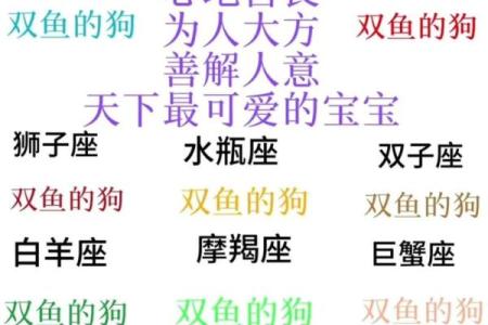 十二星座哪些星座很省钱的