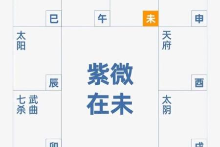 紫薇斗数实例详解视频