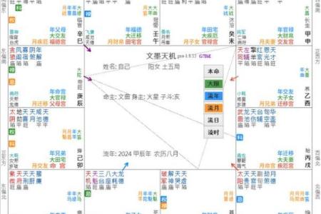 紫薇斗数疾病宫