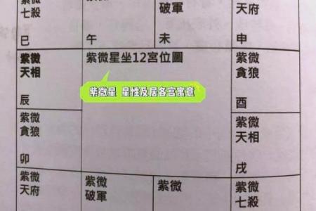 紫薇斗数紫薇入命宫