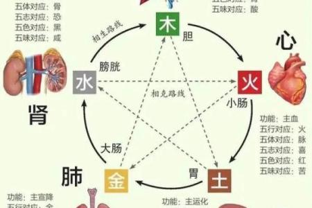 风水与人类健康，什么是风水病
