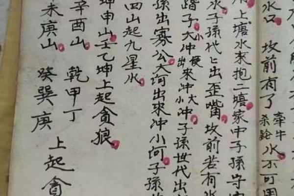 论风水伪流派 论风水伪流派