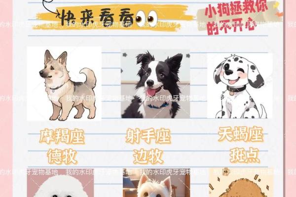 什么星座最适合养什么样的狗狗